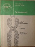 Carte CROMOZOMII de Ion Anghel, Nicolae Toma, Biologie. Ed. Stiintifica si Enciclopedica, Colectia Stiinta pentru Toti, 1987, Brosata