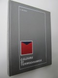 Caldura si termodinamica - C. Salceanu