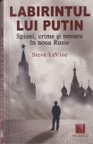 Steve LeVine - Labirintul lui Putin. Spioni, crime si teroare in noua Rusie