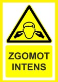 Placuta pentru zgomot intens