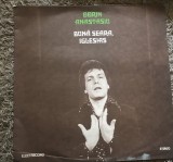 Vinil 2 Vinyl Electrecord Dorin Anastasiu
