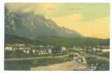 364 - BUSTENI, Prahova, Valea Alba, Romania - old postcard - unused