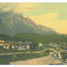 364 - BUSTENI, Prahova, Valea Alba, Romania - old postcard - unused