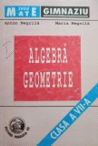 Algebra, geometrie, clasa a VIIa