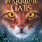 Warrior Cats - Vision von Schatten. W&uuml;tender Sturm