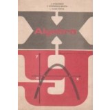 Algebra - Manual pentru anul I de liceu