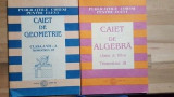 Caiet de geometrie, algebra clasa a VII-a