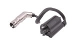 Bobina inductie si pipa cu carcasa metalica, 2 pini Cod Produs: MX_NEW CWNSEN009