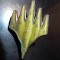 Insigna MTG, cactus