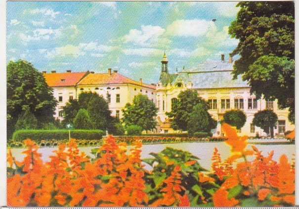 bnk cp Jud Bistrita-Nasaud - Nasaud - Centrul - necirculata