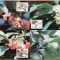 China 1995 - 4 piese maximum cartele - Seria completa