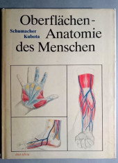 Oberflachen - Anatomie des Menschen - Schumacher, Kubota foto