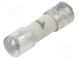 Siguranţă ardere rapidă 1A 125VAC 125VDC 7x2mm SCHURTER