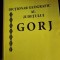 Dictionar geografic al judetului Gorj - coordonatori Dragos Buga si altii