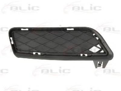 Grila ventilatie, bara protectie BMW X3 (F25) (2010 - 2016) BLIC 6502-07-0093915P foto