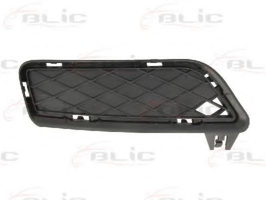 Grila ventilatie, bara protectie BMW X3 (F25) (2010 - 2016) BLIC 6502-07-0093915P