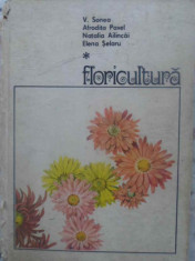 FLORICULTURA - V. SONEA, A. PAVEL, N. AILINCAI, E. SELARU foto