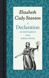 A Declaration of Sentiments and Resolutions