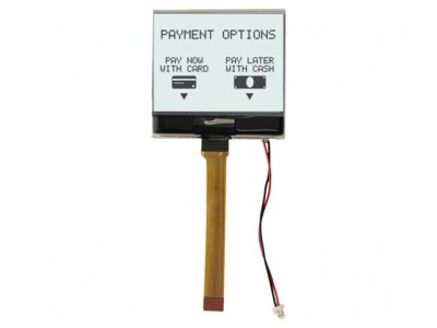 Ecran LCD grafic 160x100 alb 49,2x47,6x4mm foto