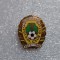 Insigna Aniversara FC Olt Scornicesti