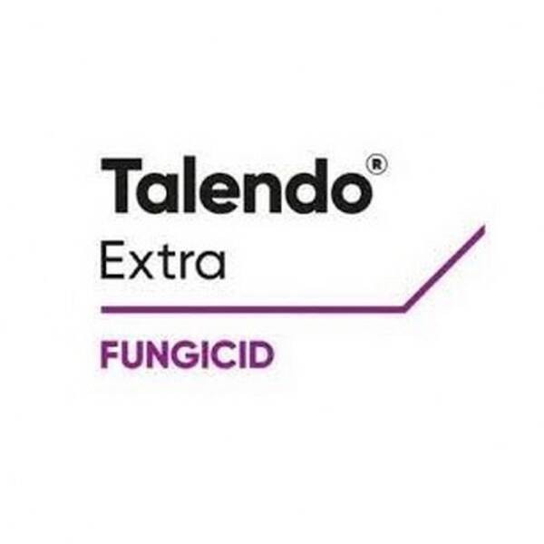 Talendo 2.5 ml, fungicid sistemic, DuPont, fainare (vita de vie), efect de lunga durata, rezistenta la spalare