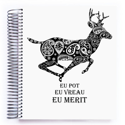 Agenda Planificator Pot Vreau Merit foto