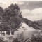 bnk cp Oltul la Caciulata - Vedere - uzata