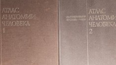 Sinelnikov,atlas de anatomie umana,2 vol 1990 limba rusa ,Ultima editie