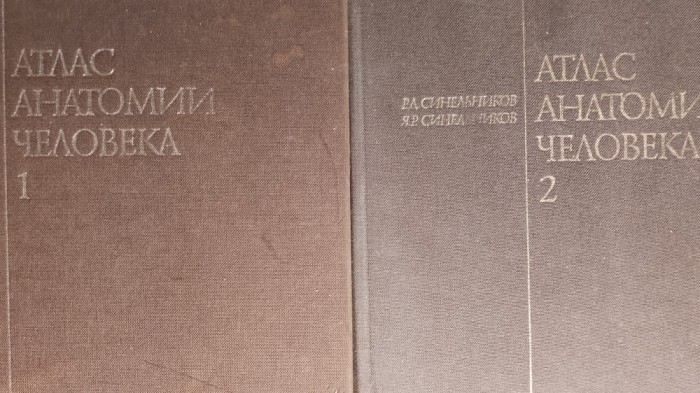 Sinelnikov,atlas de anatomie umana,2 vol 1990 limba rusa ,Ultima editie