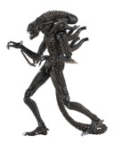 Aliens Action Figure 23 cm Ultimate Alien Warrior Brown