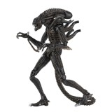 Aliens Action Figure 23 cm Ultimate Alien Warrior Brown