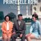 Printesele Rosii. Femei si Barbati, Parinti si Copii In Ideologia si Cotidianul Comunist, Lavinia Betea - Editura Corint