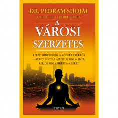 A városi szerzetes - Keleti bölcsesség és modern trükkök, avagy hogyan állítsuk meg az időt, leljük meg a sikert és a békét - Dr. Pedram Shojai