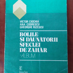 BOLILE ȘI DĂUNĂTORII SFECLEI DE ZAHAR (ALBUM) - V. CIOCHIA & COLAB