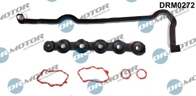 Set Garnituri, Capac Supape 286373 DRM0272 foto