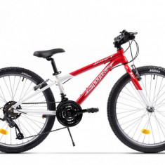 BICICLETA PEGAS MINI DRUMET 24'' ROSU ALB