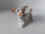 Bibelou vechi romanesc caine Terrier portelan anii 70-80 figurina colectie vintage decor retro Curtea de Arges