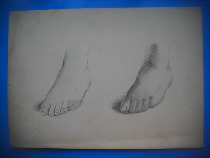 HOPCT DOCUMENT 545 DESEN / PICIOARE -ANONIM-D= 240/170 MM