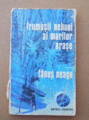 FRUMO?II NEBUNI AI MARILOR ORA?E ? FANU? NEAGU foto