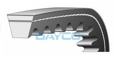 Curea transmisie 22.7x893 (Dayco kevlar) Suzuki Burgman (98-07) - Burgman K3 (03-06) - Burgman K6 (03-06) - UH Burgman (07-08) 4T 250cc foto