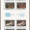 ADEN ( HADHRAMAUT ) 1967 PICTURA ( bloc nedantelat ) MNH