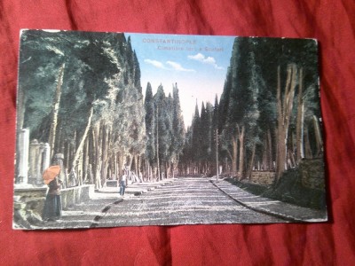 Ilustrata Constantinopol - Scutari - Cimitirul turc , circulata 1924 la Tg Mures , color foto