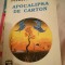 apocalipsa de carton nichita danilov 1993