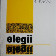 Elegii – Radu Anton Roman (cateva sublinieri)