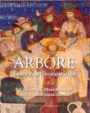 Arbore: history, art, restauration - Hardcover - Anca Dină, Corina Popa, Oliviu Boldura, Maria-Magdalena Drobota - ACS