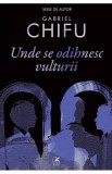 Unde se odihnesc vulturii - Gabriel Chifu