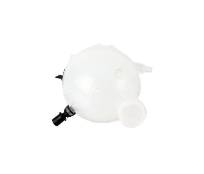 Vas expansiune Citroen C4 2004-2010; Peugeot 307 2001-2008, RapidAuto 5710ZB-12 foto