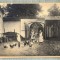 AD 237 C. P. VECHE - URSULINEN -KLOSTER LIEBENTHAL -BEZ.LIEGNITZ- CALUGARITE