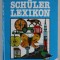 DAS ARENA SCHULER LEXIKON von H.P. THIEL / B. CASPER ( LEXICON SCOLAR ) , TEXT IN LIMBA GERMANA , von HANS PETER THIEL und BERTHOLD CASPER , 1989