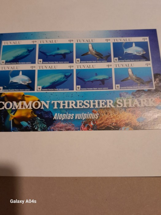 TUVALU WWF 2016-Rechini-Bloc cu 2 streifuri de cate 4 timbre